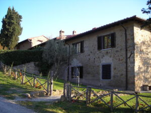 Pettirosso